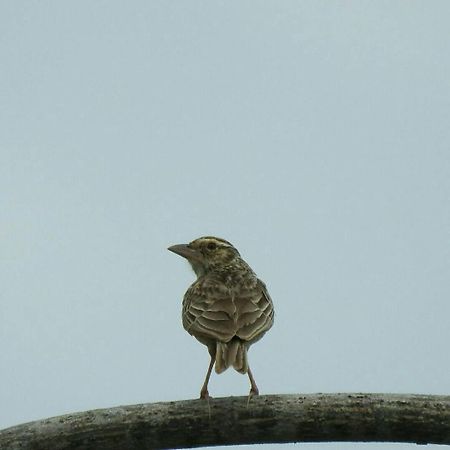 ライ ソークサンチャン リゾート ケーンクラチャン エクステリア 写真